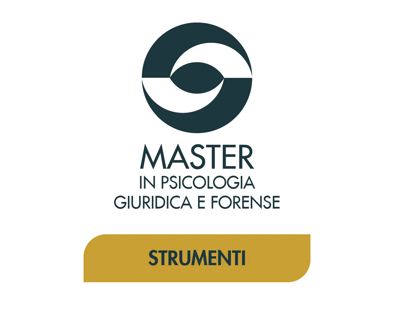 master-modulo strumenti